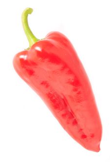 Red Pepper On White Background Royalty Free Stock Images