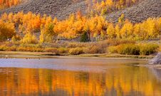 Autumn Reflection Royalty Free Stock Photos Autumn Reflection Royalty Free Stock Photos