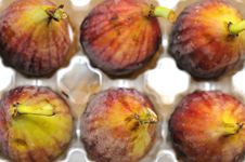 Top View Of Fig Fruits Stock Images Top View Of Fig Fruits Stock Images