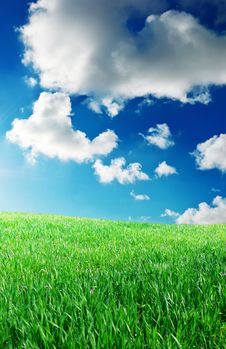 Green Meadow In Mountain Royalty Free Stock Photography Green Meadow In Mountain Royalty Free Stock Photography
