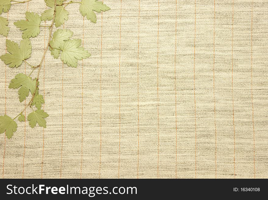 Dried green leaves over natural linen striped textured fabric textile