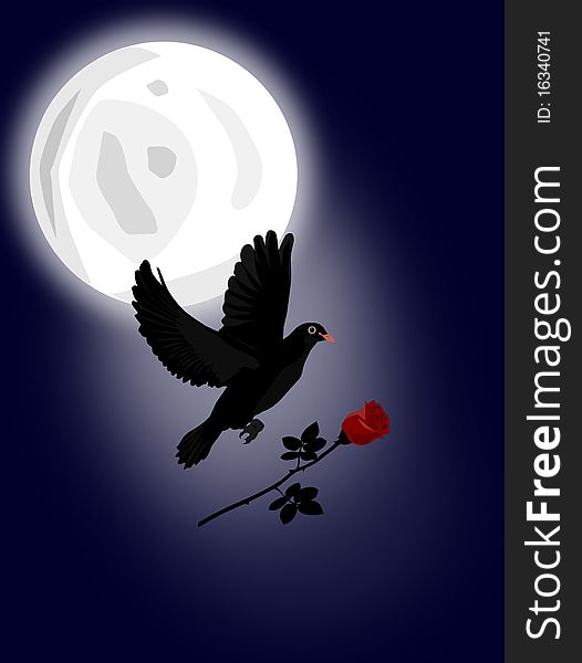 Black dove with falling red rose, moon. Black dove with falling red rose, moon