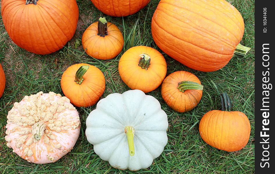 Beautifully arranged pumpkins and gourds for fall holidays. Beautifully arranged pumpkins and gourds for fall holidays