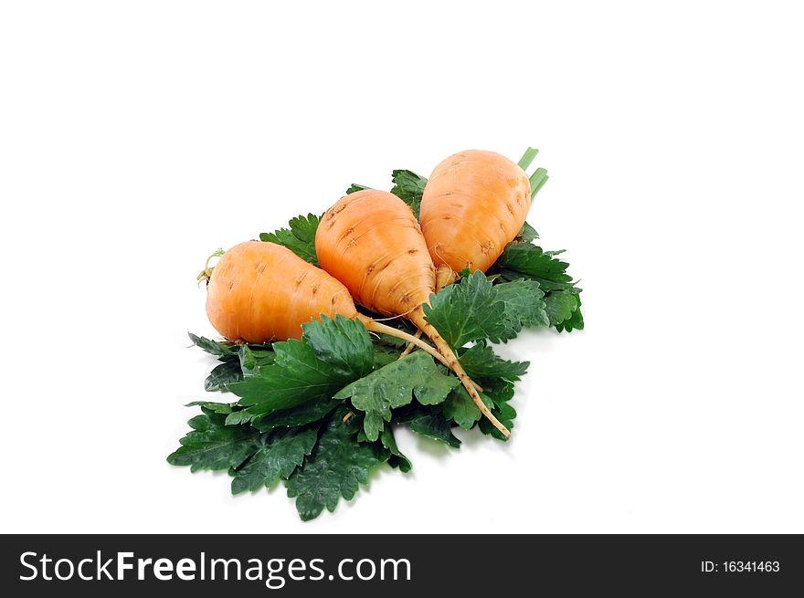 Carrots and celery greens are isolated on a white background