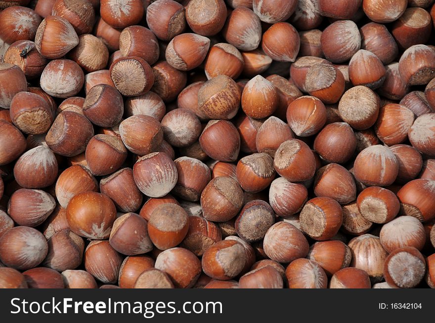 Natural texture with harvested hazelnuts