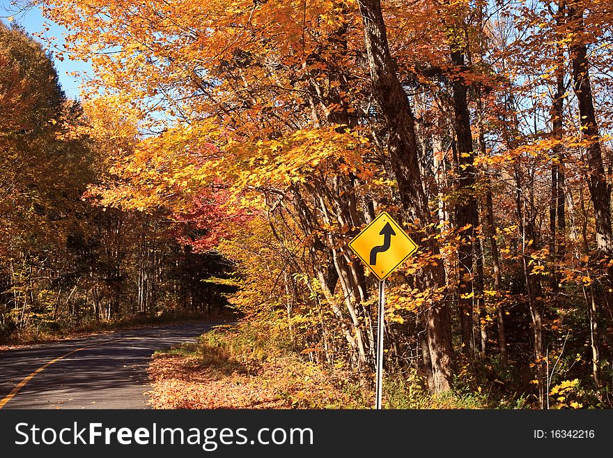Fall color Road Drive at Muskoka. The road is colorful with maple leaves and even on the road.