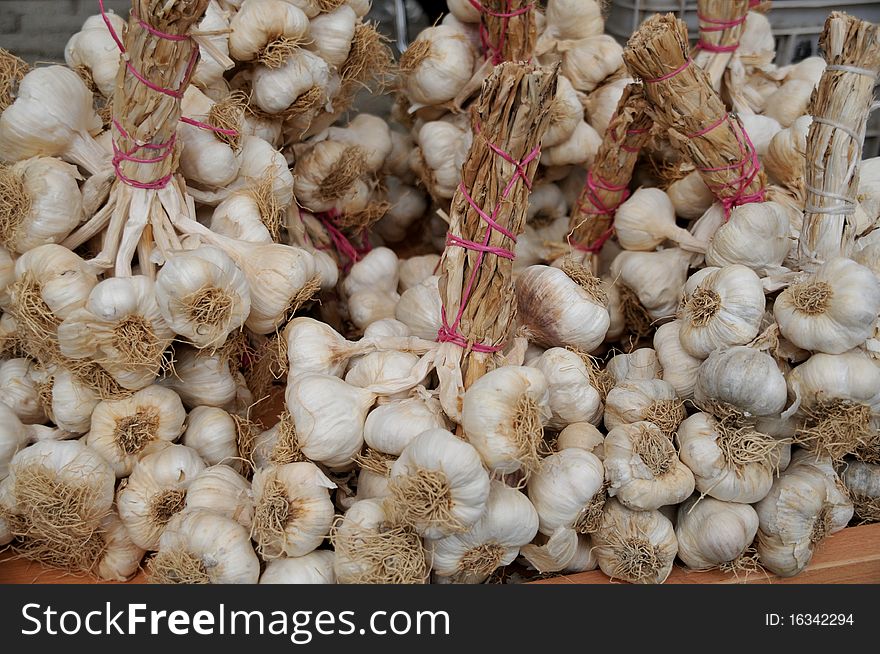 harvested garlics waiting for sale