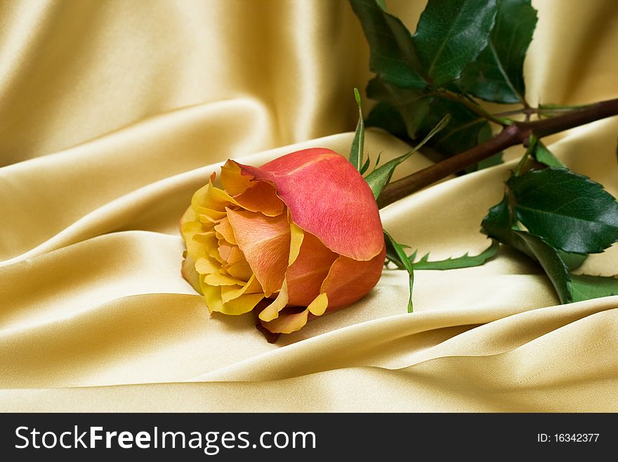 Red rose on yellow silk. Red rose on yellow silk