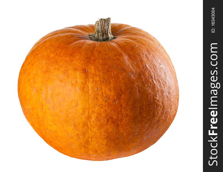 A perfect pumpkin ready for you to add a face. This is a real grown pumpkin, not foam or plastic.