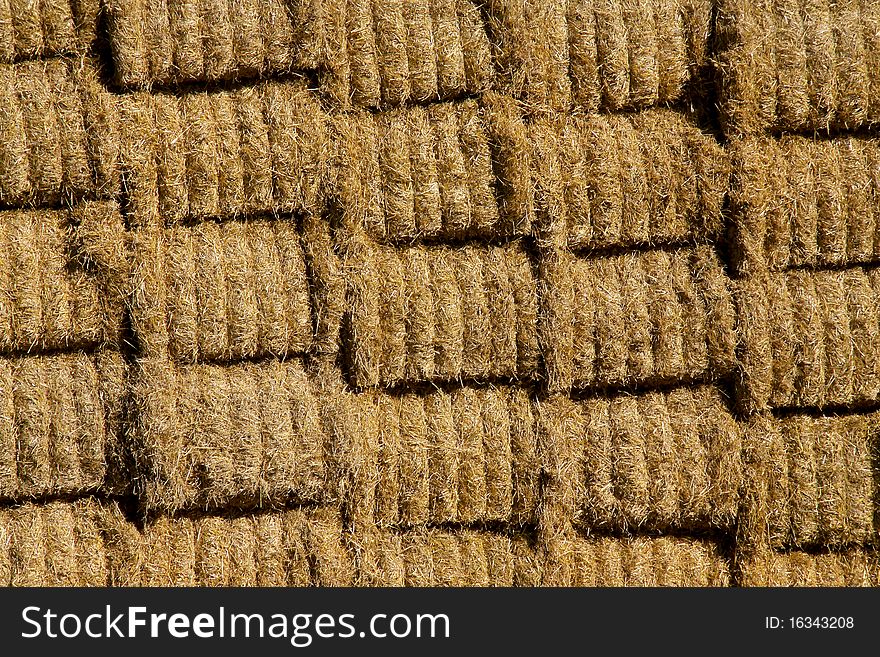 Stalked hay bales after harvest in autumn