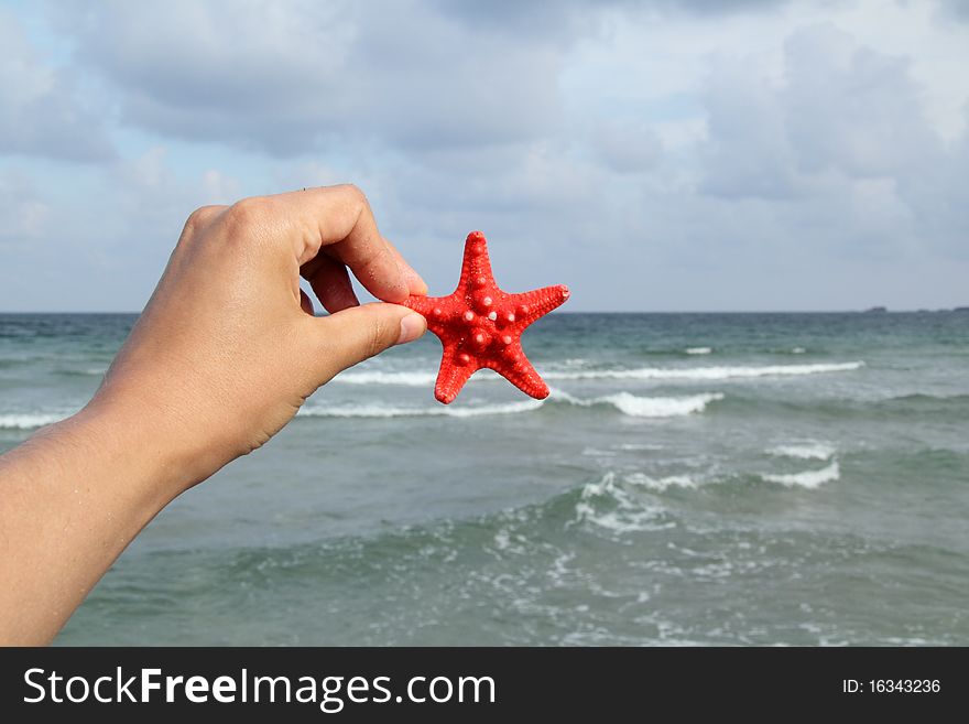 Hand holding a starfish in front of a blue sea