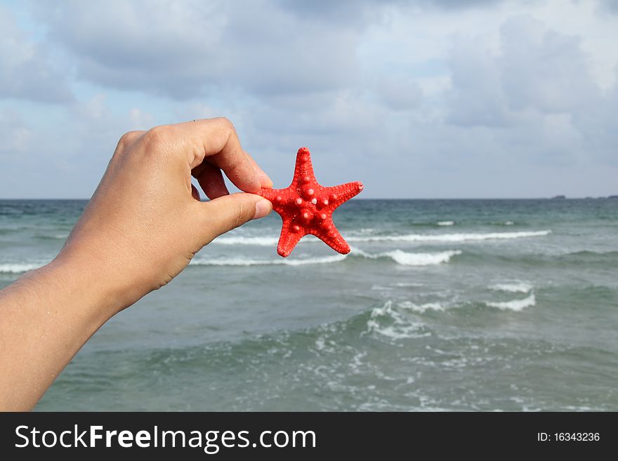 Hand holding a starfish