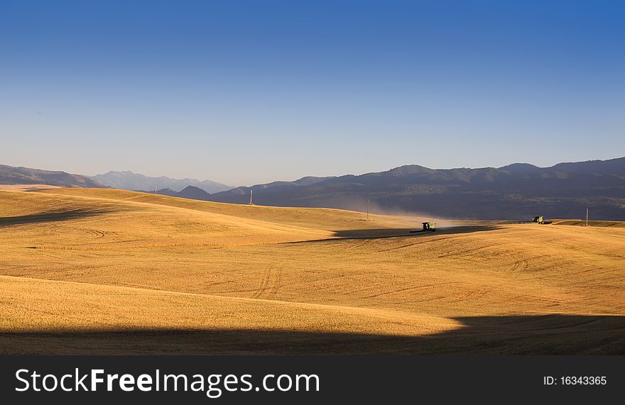 Harvesting the farm with heavy equipment