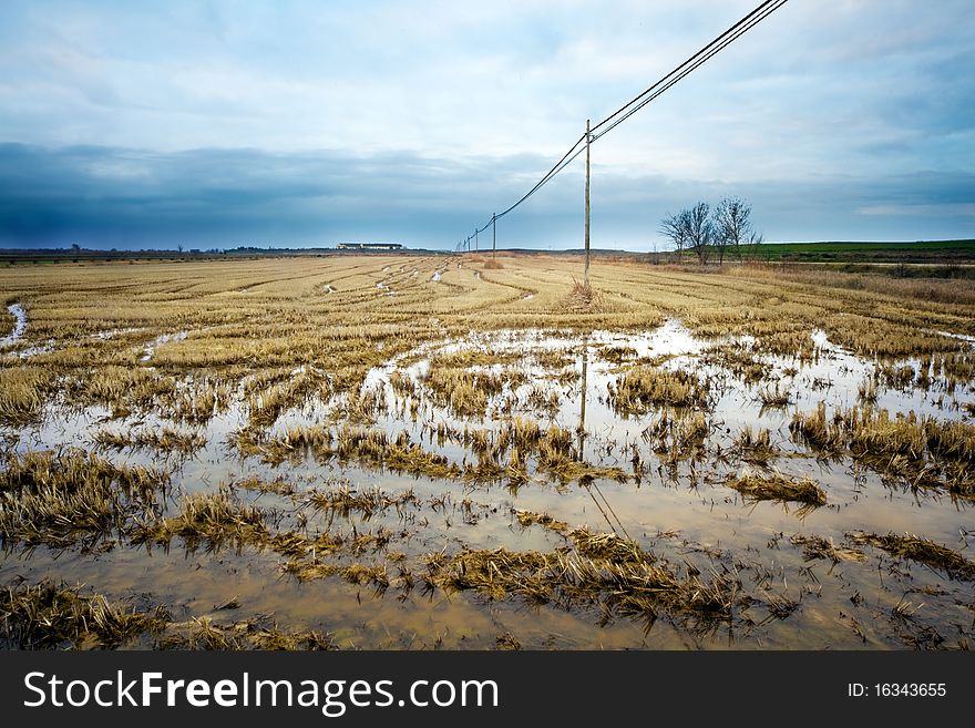 Rural landscape with harvest field flooded