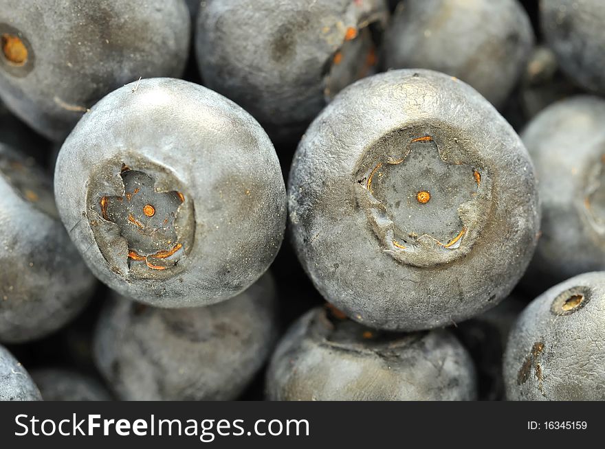 Macro Shot Of Fresh Blueberries