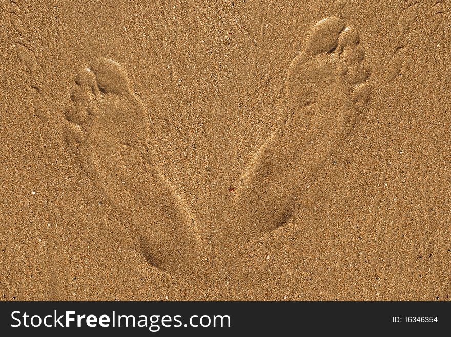 Permissions are male feet wet sea sand. Permissions are male feet wet sea sand