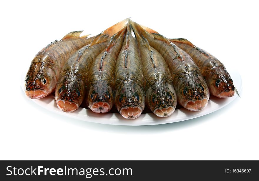 Fresh raw fish isolated on white background