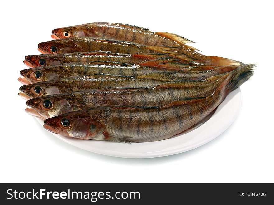 Fresh raw fish isolated on white background