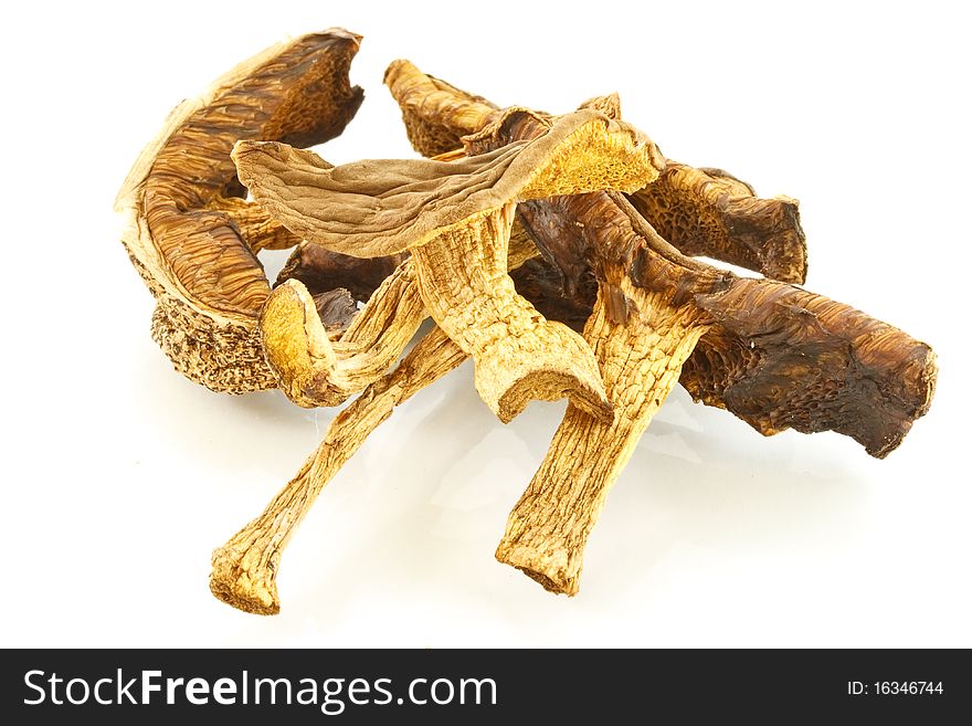 Handful of dried mushrooms on a white background