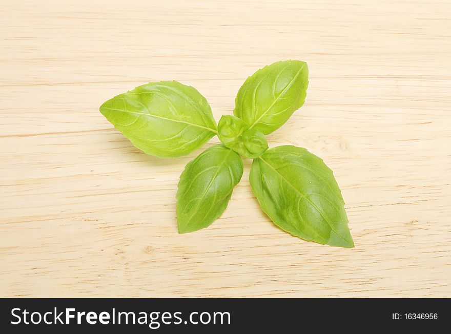 Sprig of fresh basil herb on a wooden background. Sprig of fresh basil herb on a wooden background
