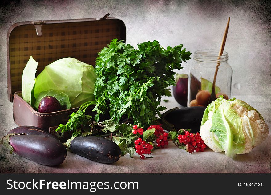 Still life consists of cabbage, suitcase, egg-plants, viburnum and parsley. Still life consists of cabbage, suitcase, egg-plants, viburnum and parsley