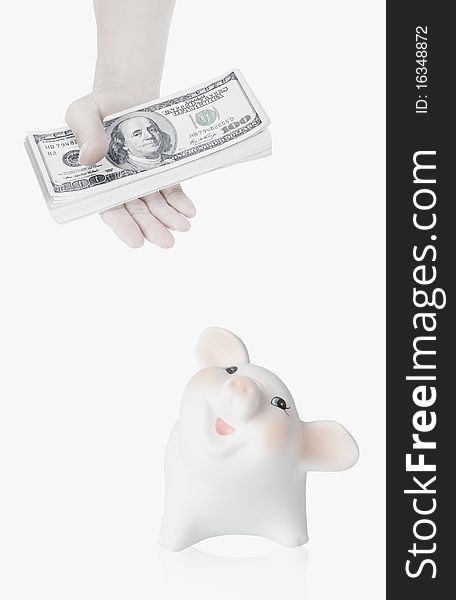 Piggy bank look at dollars