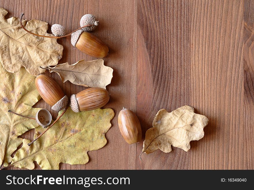 Dry oak leaves and acorns on wooden background with copy space. Dry oak leaves and acorns on wooden background with copy space