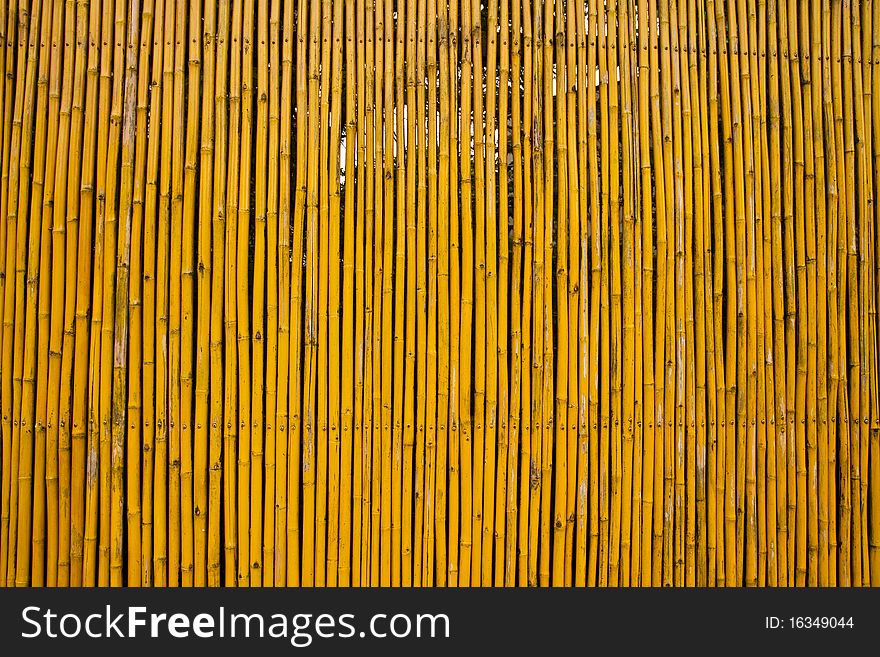 Bamboo Fence