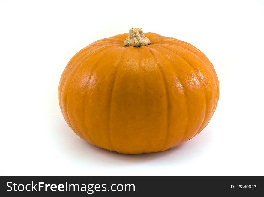 Single pumpkin on a white background. Single pumpkin on a white background