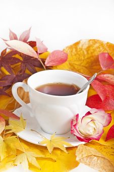 Fall Cup Of Tea Royalty Free Stock Photo Fall Cup Of Tea Royalty Free Stock Photo