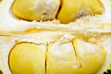 Durian Fruit Stock Photos Durian Fruit Stock Photos