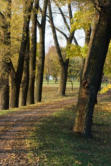 Autumn Park Royalty Free Stock Photo Autumn Park Royalty Free Stock Photo