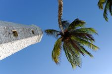 Lighthouse Between Palms Royalty Free Stock Images