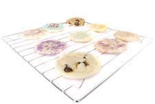 Homemade Cookies On Baking Rack Royalty Free Stock Image Homemade Cookies On Baking Rack Royalty Free Stock Image