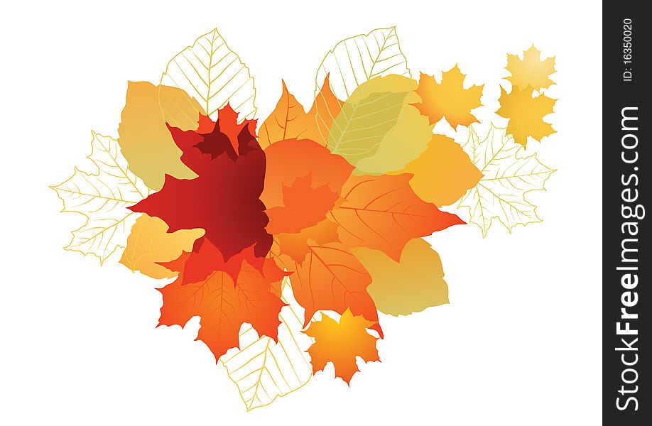 Vector illustration of autumn leafs for background.