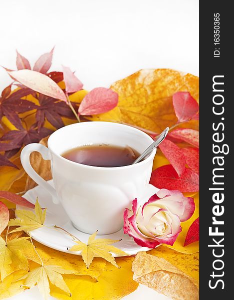 Fall cup of tea