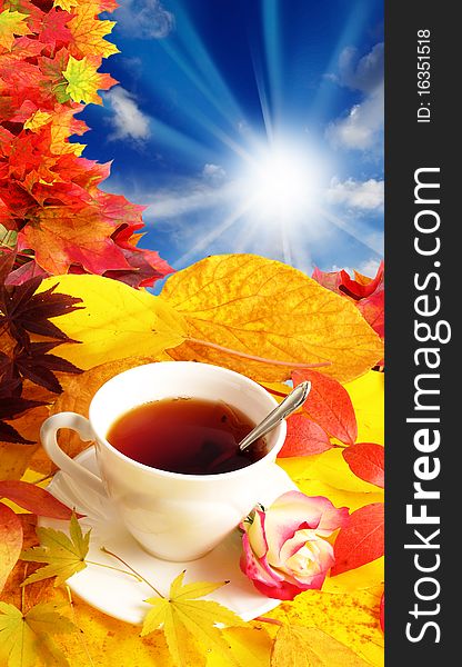 Cup of tea and fall background with colored leaves