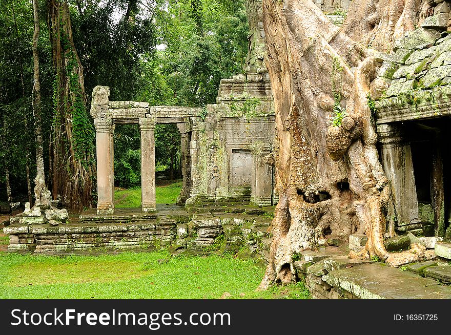 Angkor Wat - Ta Prohm temple, Cambodia