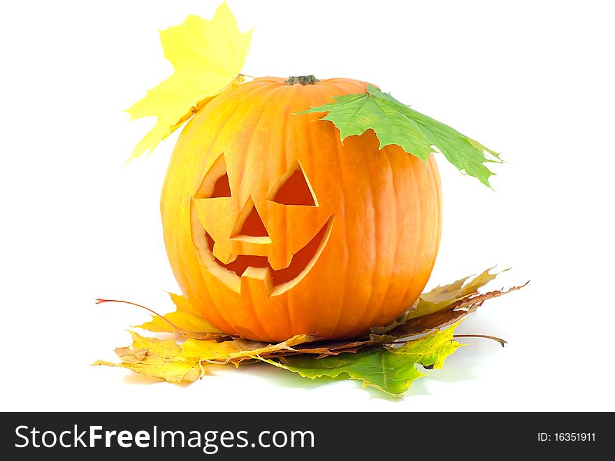 Studio shot of orange halloween pumpkin isolated on white. Studio shot of orange halloween pumpkin isolated on white