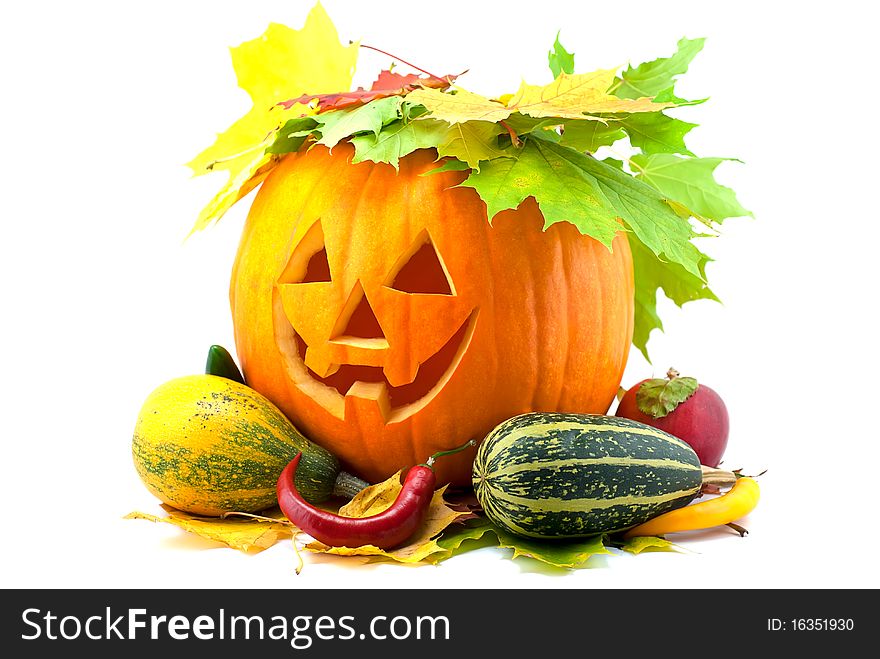 Studio shot of orange halloween pumpkin isolated on white. Studio shot of orange halloween pumpkin isolated on white