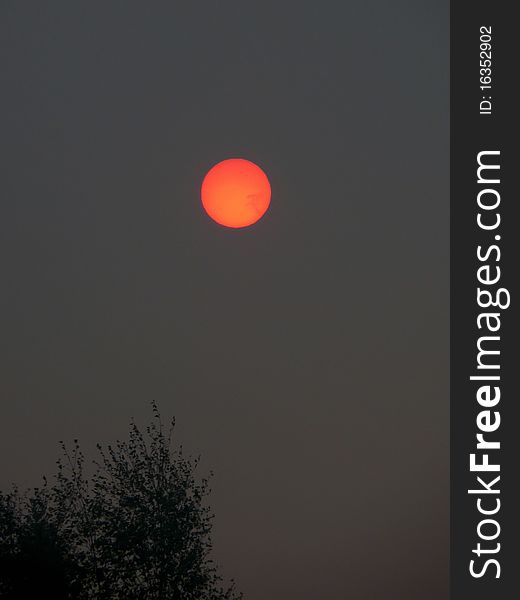 The red disk of the sun could shine through from the burning of forests. The red disk of the sun could shine through from the burning of forests.