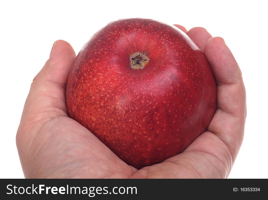 Red apple in hand isolated on white