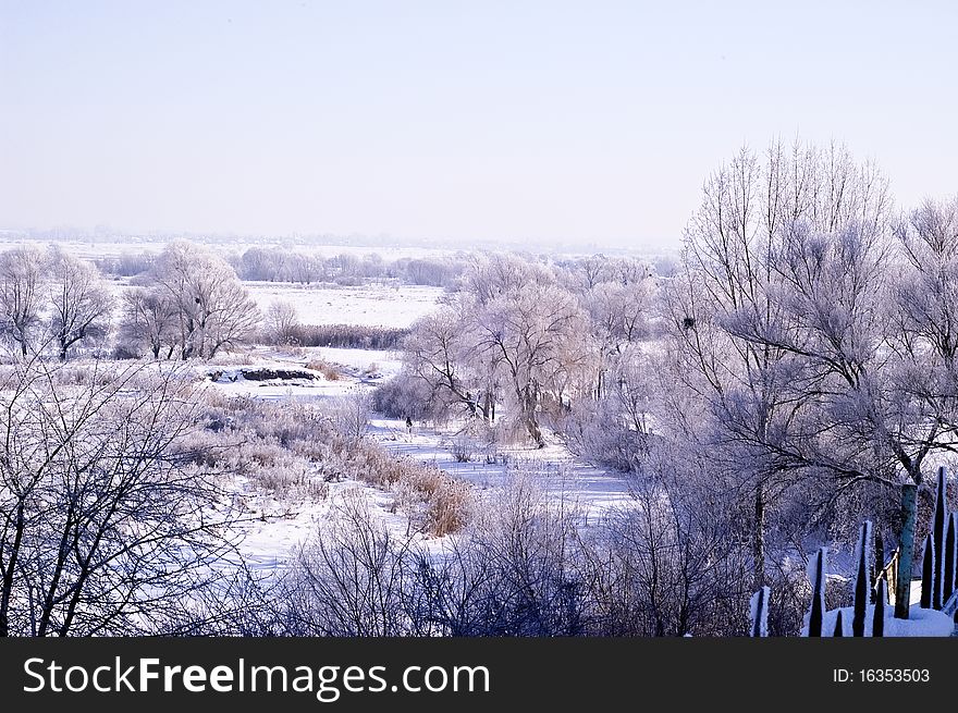 Trees winter landscape forest snow