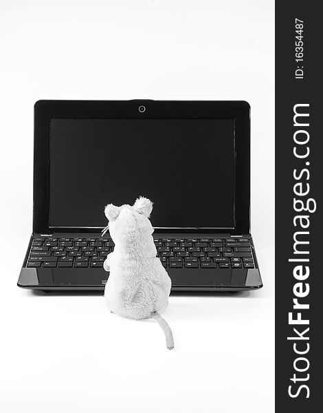 Laptop and a toy mouse on a white background. Laptop and a toy mouse on a white background