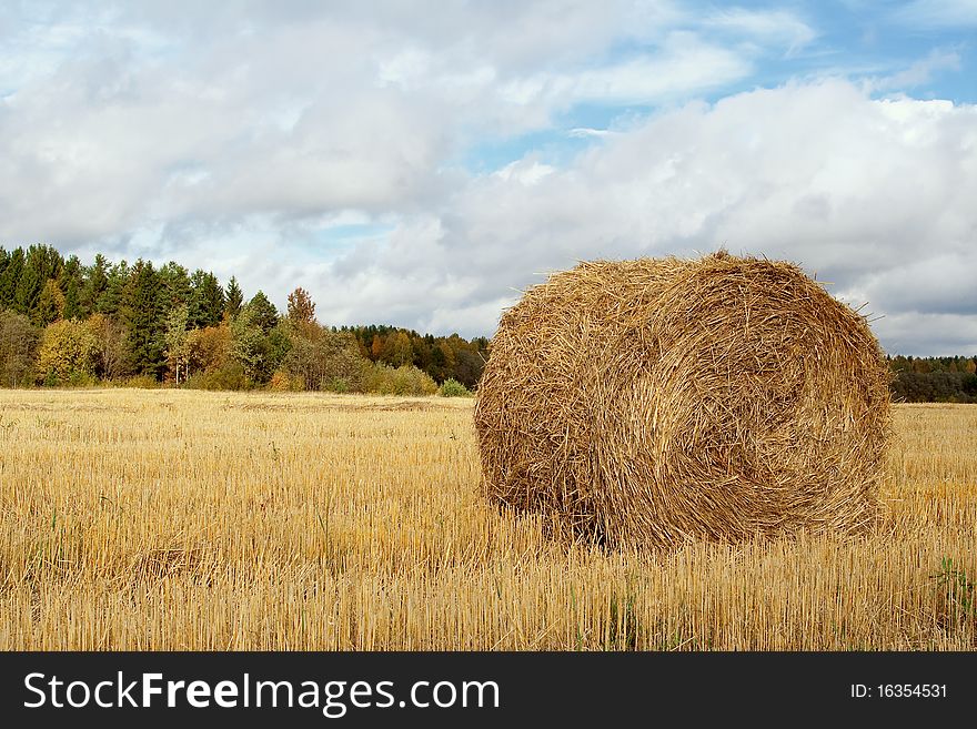 Haystack in the field photographed autumn day