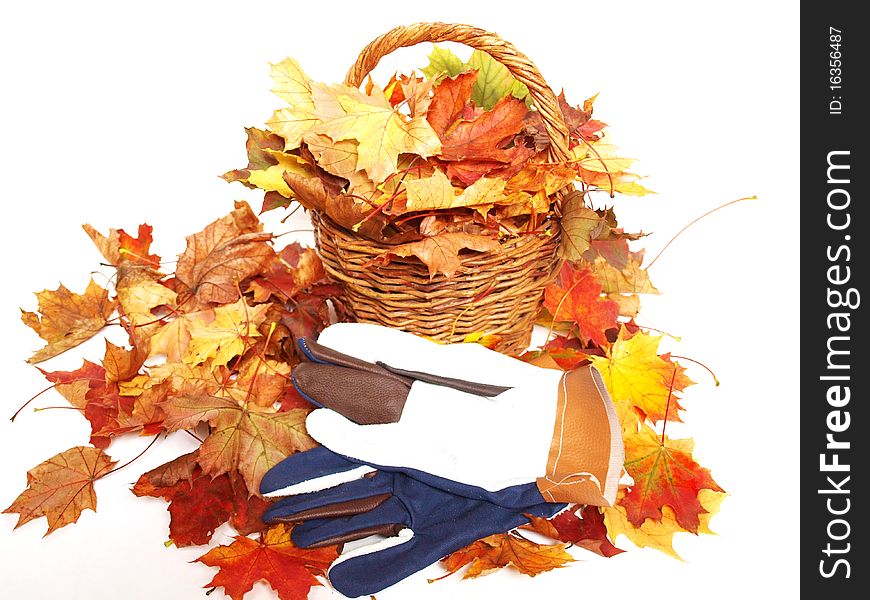 Leaves,wicker and gloves
