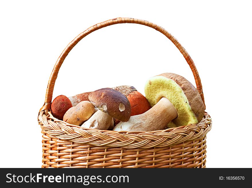 Boletus Edulis mushrooms in a basket isolated on white background. Boletus Edulis mushrooms in a basket isolated on white background.