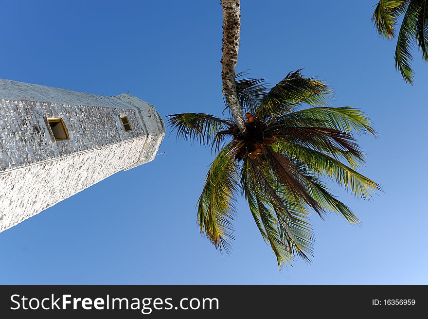 Lighthouse between palms galle sri lanka