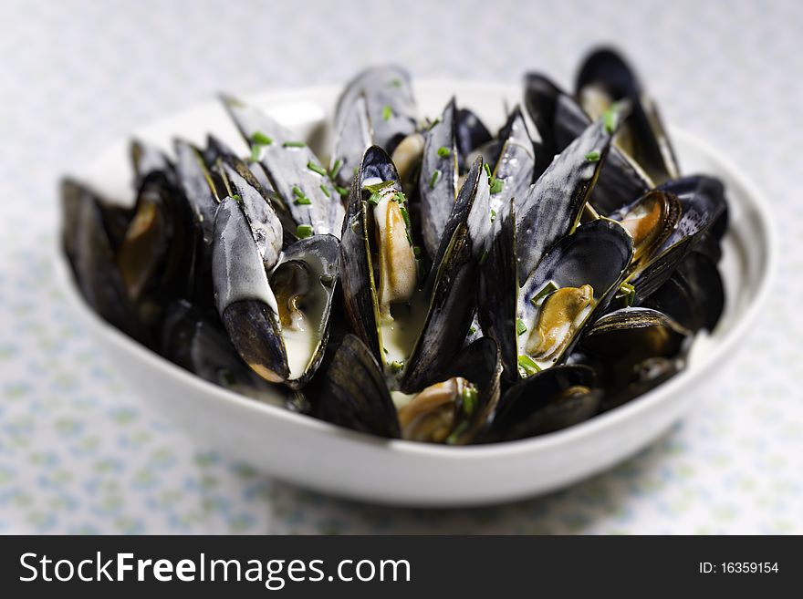 Mussel with white wine sauce  on a plate. Very shallow depth of field. Mussel with white wine sauce  on a plate. Very shallow depth of field.