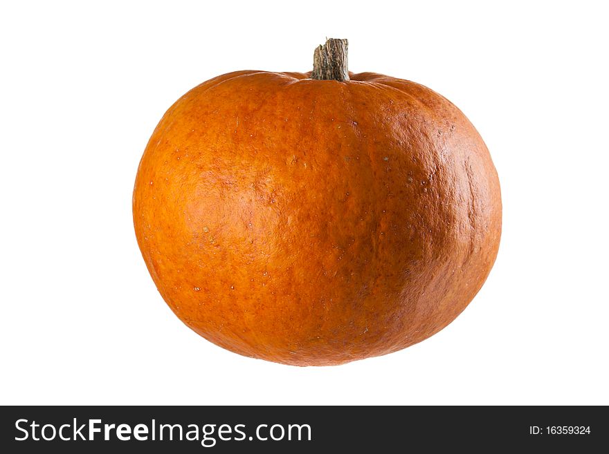 A perfect pumpkin ready for you to add a face. This is a real grown pumpkin, not foam or plastic.